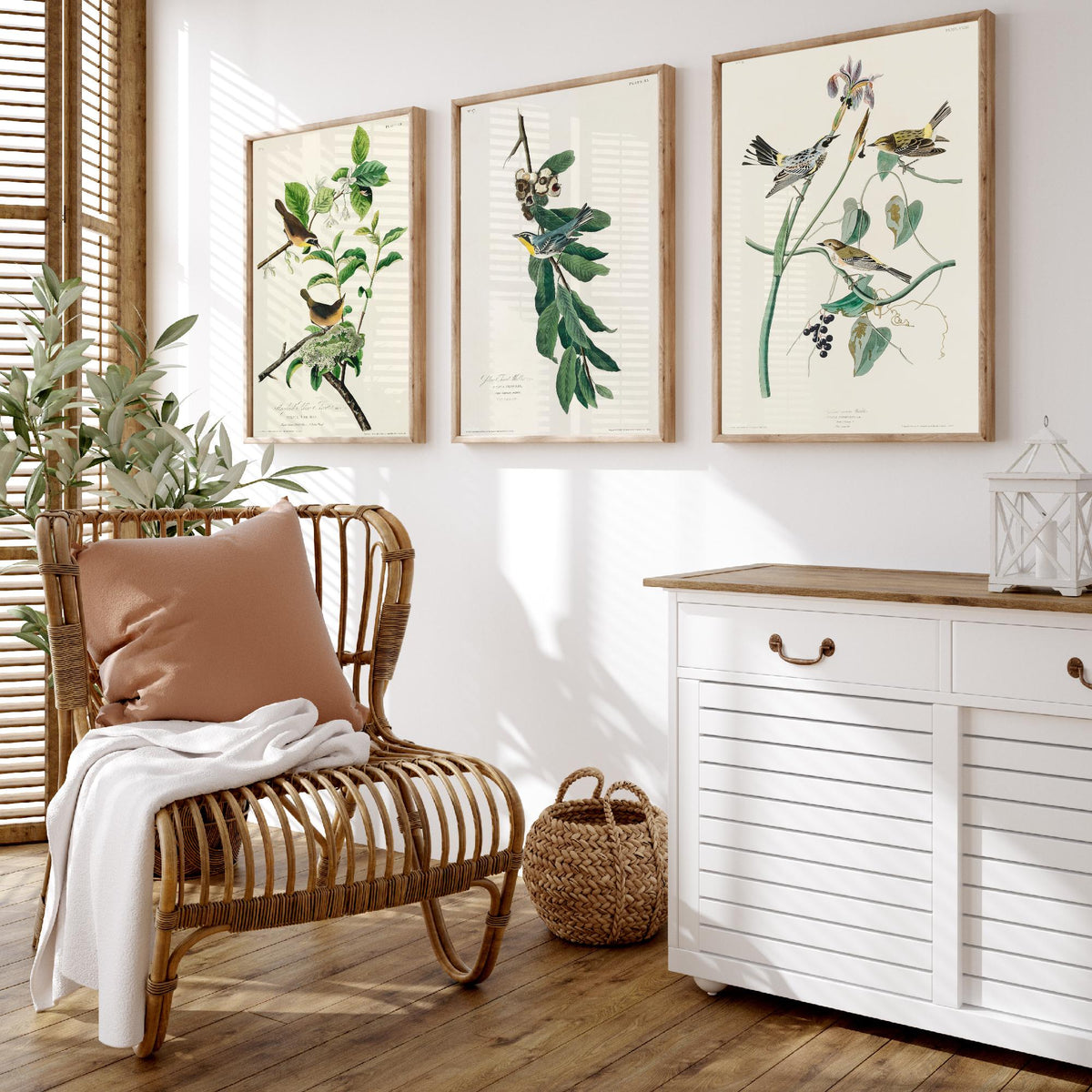 Set of Three John James Audubon Prints - Yellow-breasted Yellow-throated Yellow-crowned Warbler - 3 Bird Paintings Poster Wall Art