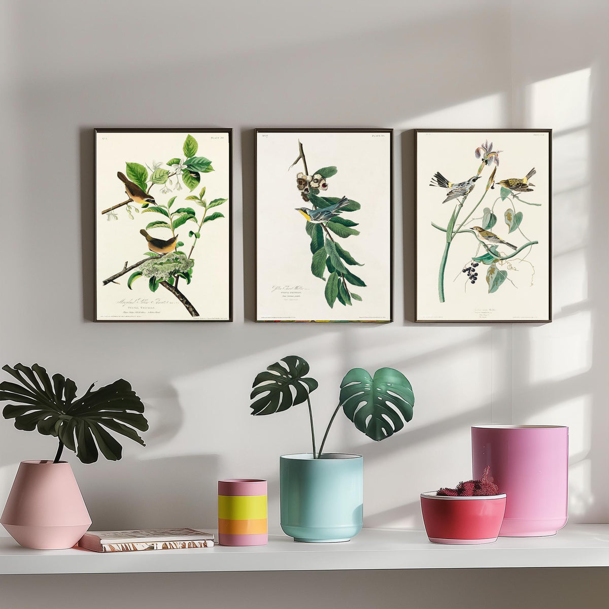 Set of Three John James Audubon Prints - Yellow-breasted Yellow-throated Yellow-crowned Warbler - 3 Bird Paintings Poster Wall Art
