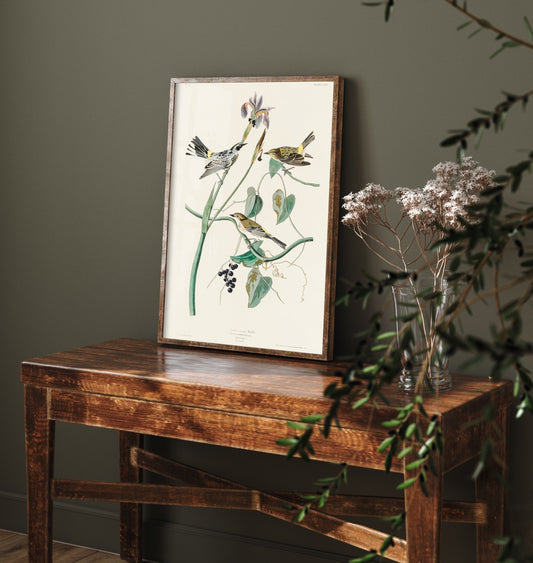 Yellow-rumped Warbler Art Print - John James Audubon Birds of America Myrtle Warbler Illustration Poster