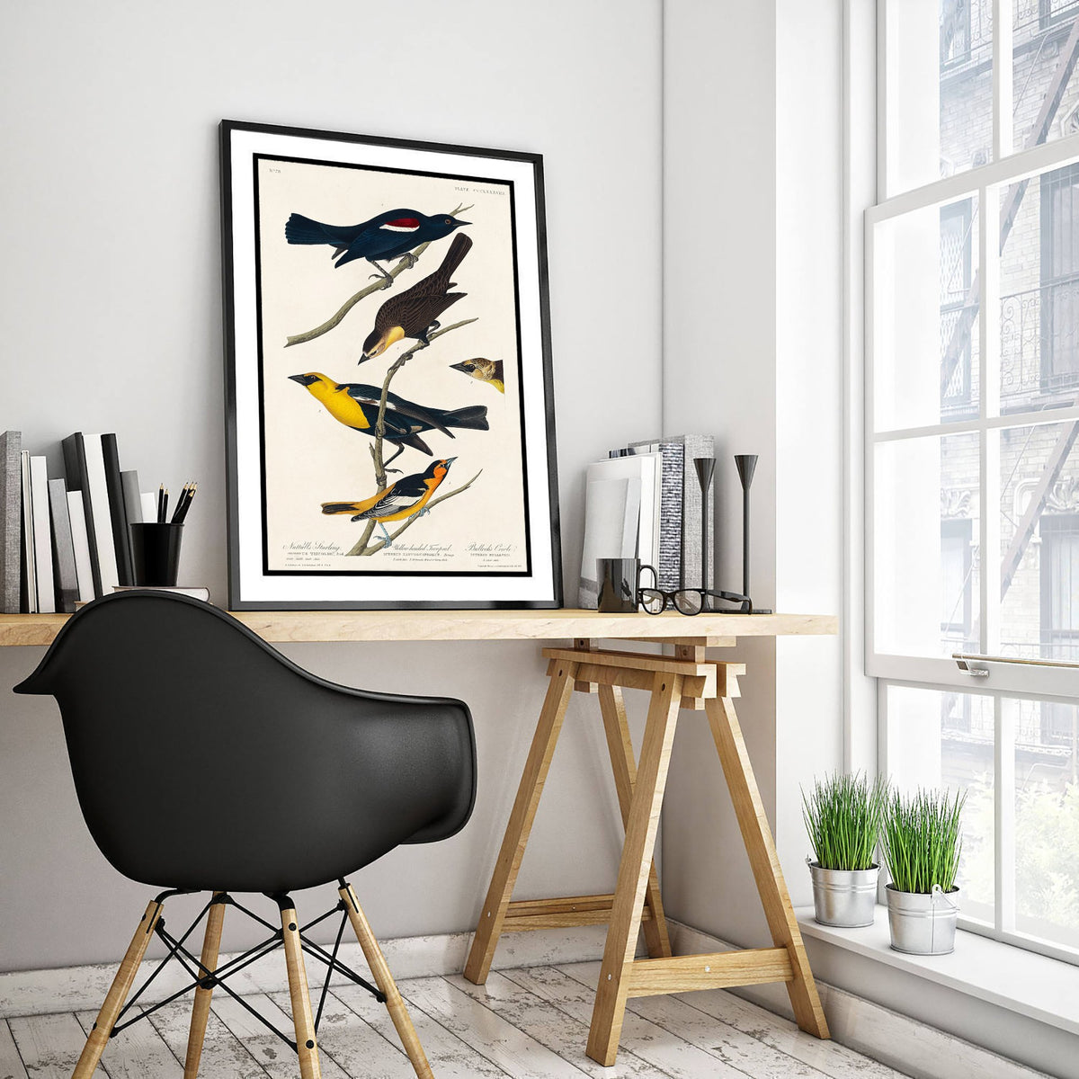 Yellow-headed Blackbird Art Print - John James Audubon Birds of America Vintage Bird Illustration Poster