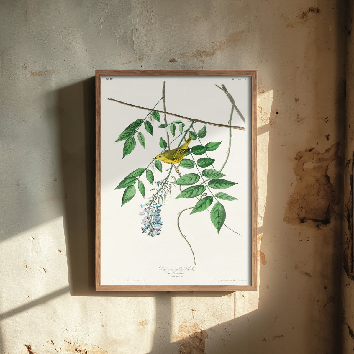 Yellow Warbler Art Print - John James Audubon Birds of America Vintage Songbird Illustration Poster