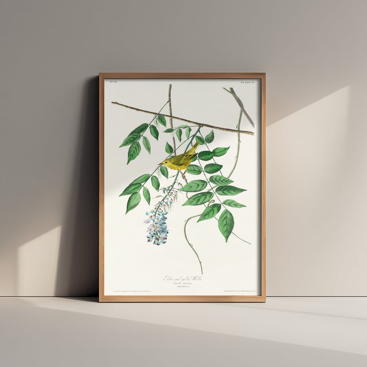 Yellow Warbler Art Print - John James Audubon Birds of America Vintage Songbird Illustration Poster