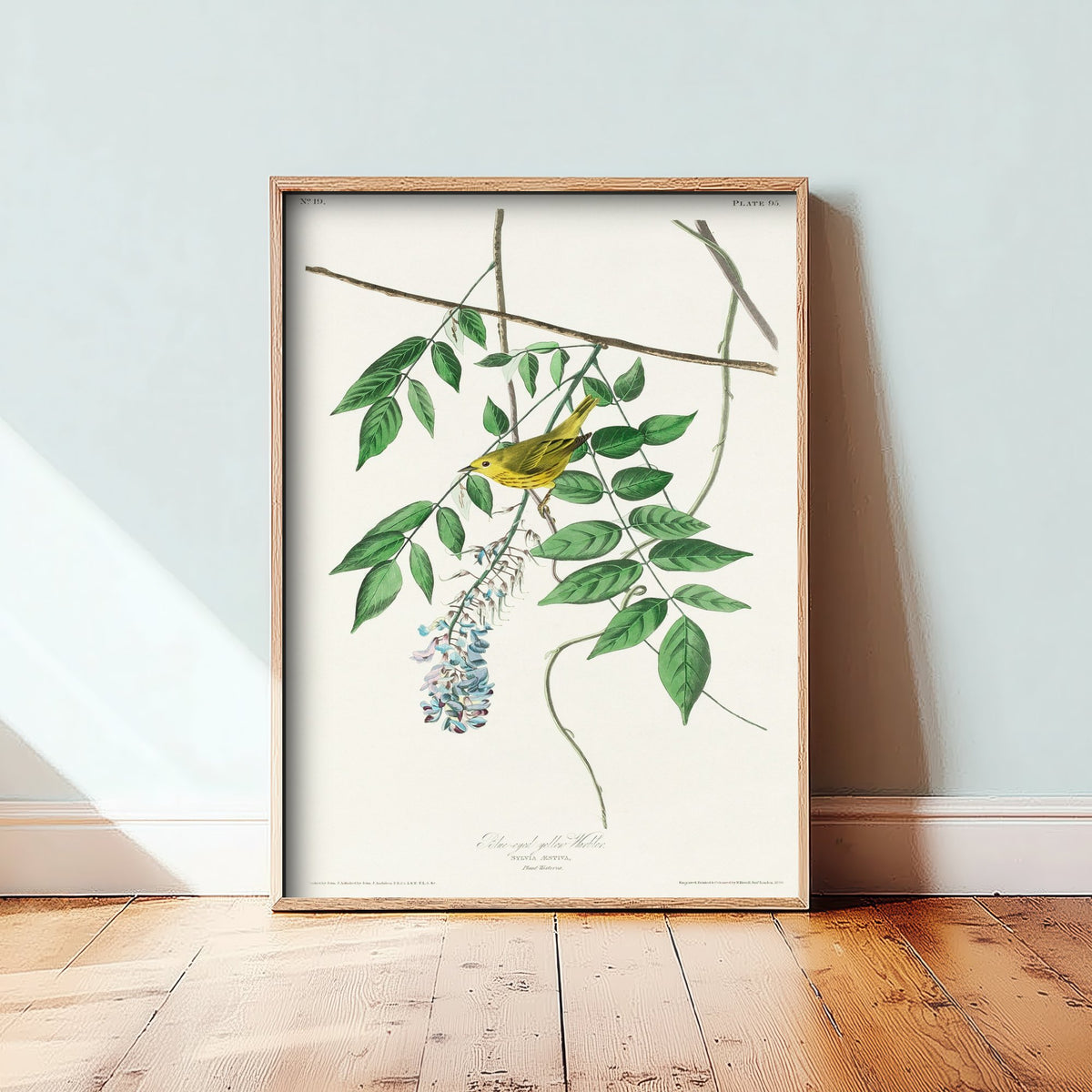 Yellow Warbler Art Print - John James Audubon Birds of America Vintage Songbird Illustration Poster