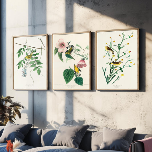 Set of Three John James Audubon Prints - Yellow Blue-winged and Palm Warbler - 3 Bird Paintings Poster Wall Art