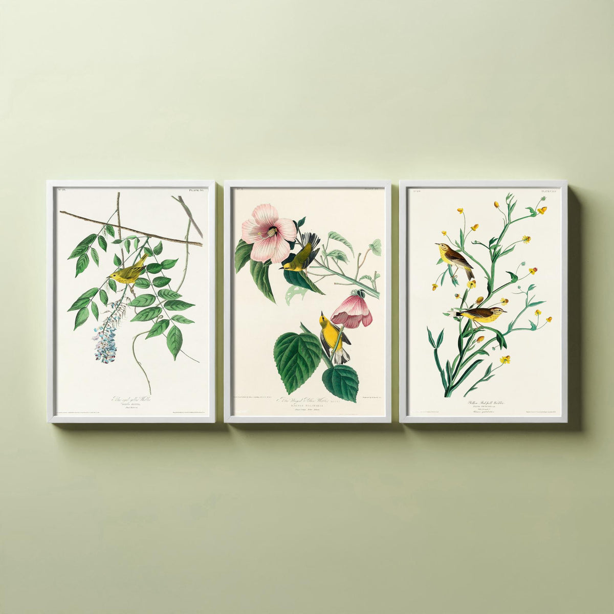 Set of Three John James Audubon Prints - Yellow Blue-winged and Palm Warbler - 3 Bird Paintings Poster Wall Art