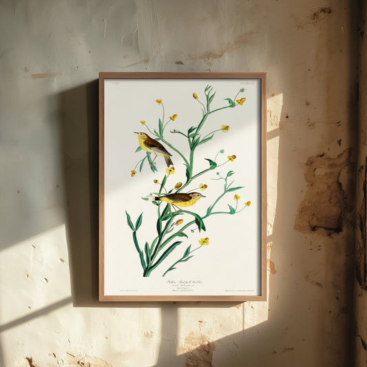 Palm Warbler Art Print - John James Audubon Birds of America Vintage Warbler Illustration Poster