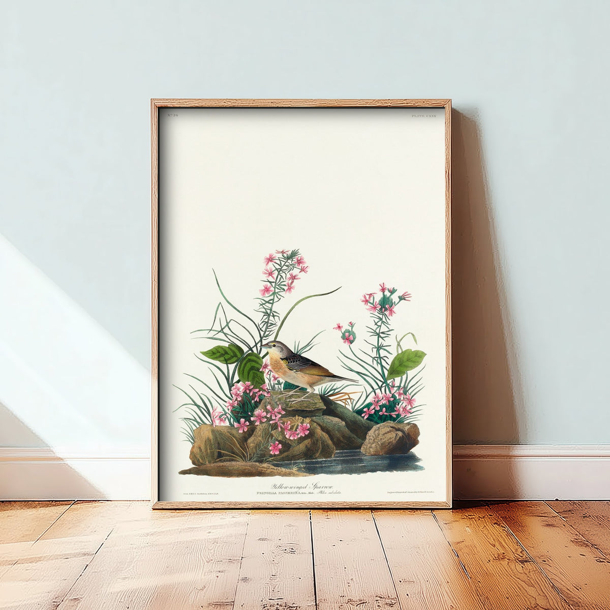 Grasshopper Sparrow Art Print - John James Audubon Birds of America Vintage Sparrow Illustration Poster