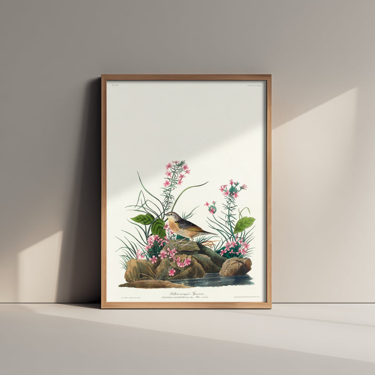 Grasshopper Sparrow Art Print - John James Audubon Birds of America Vintage Sparrow Illustration Poster