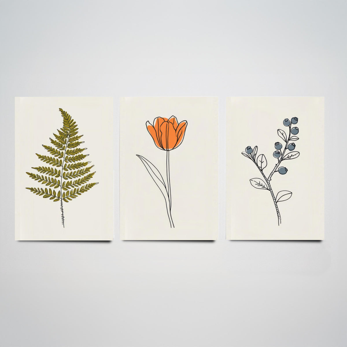 Minimalist Botanical Set of Three Art Prints - Fern, Orange Tulip, Blueberry - Line Drawing Poster with Colour V2