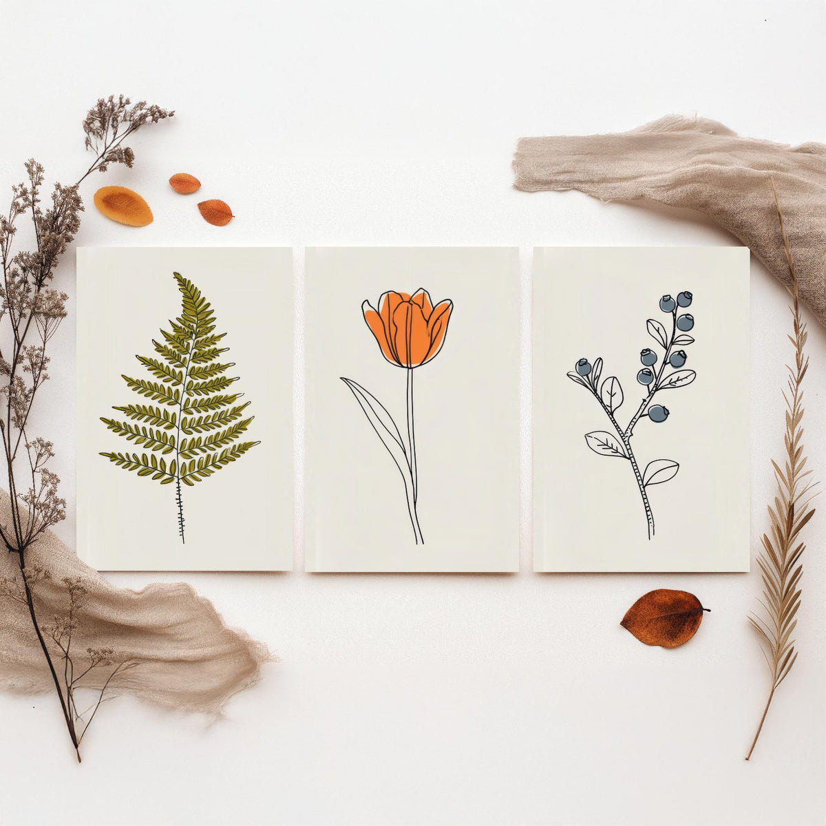 Minimalist Botanical Set of Three Art Prints - Fern, Orange Tulip, Blueberry - Line Drawing Poster with Colour V2