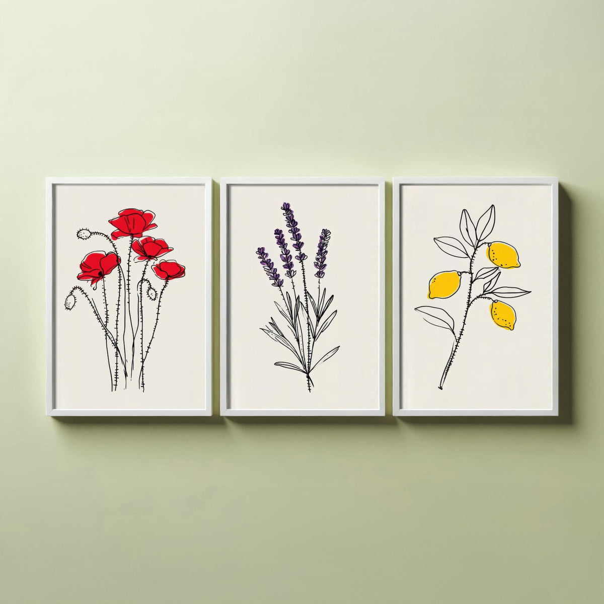 Minimalist Botanical Set of Three Art Prints - Poppy, Lavender, Lemon - Line Drawing Poster with Colour Accents V1