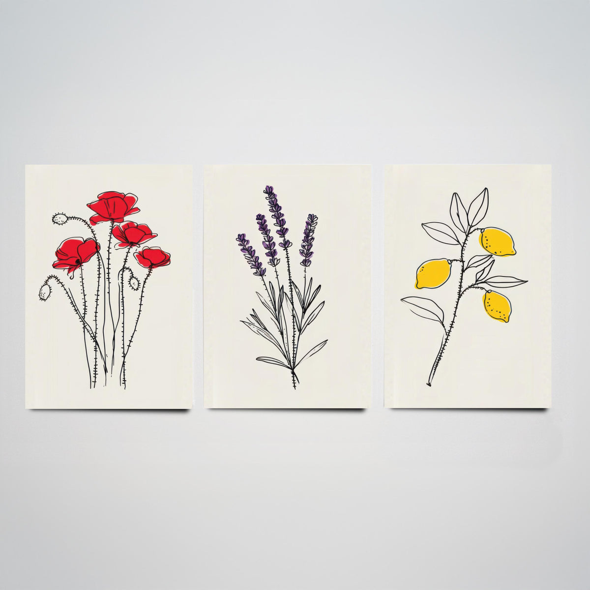 Minimalist Botanical Set of Three Art Prints - Poppy, Lavender, Lemon - Line Drawing Poster with Colour Accents V1