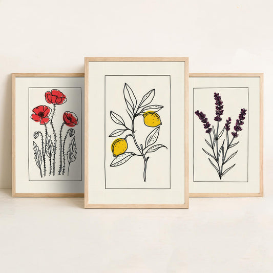 Minimalist Botanical Set of Three Art Prints - Red Poppies, Lavender, Lemons - Bordered Line Drawing Poster V3