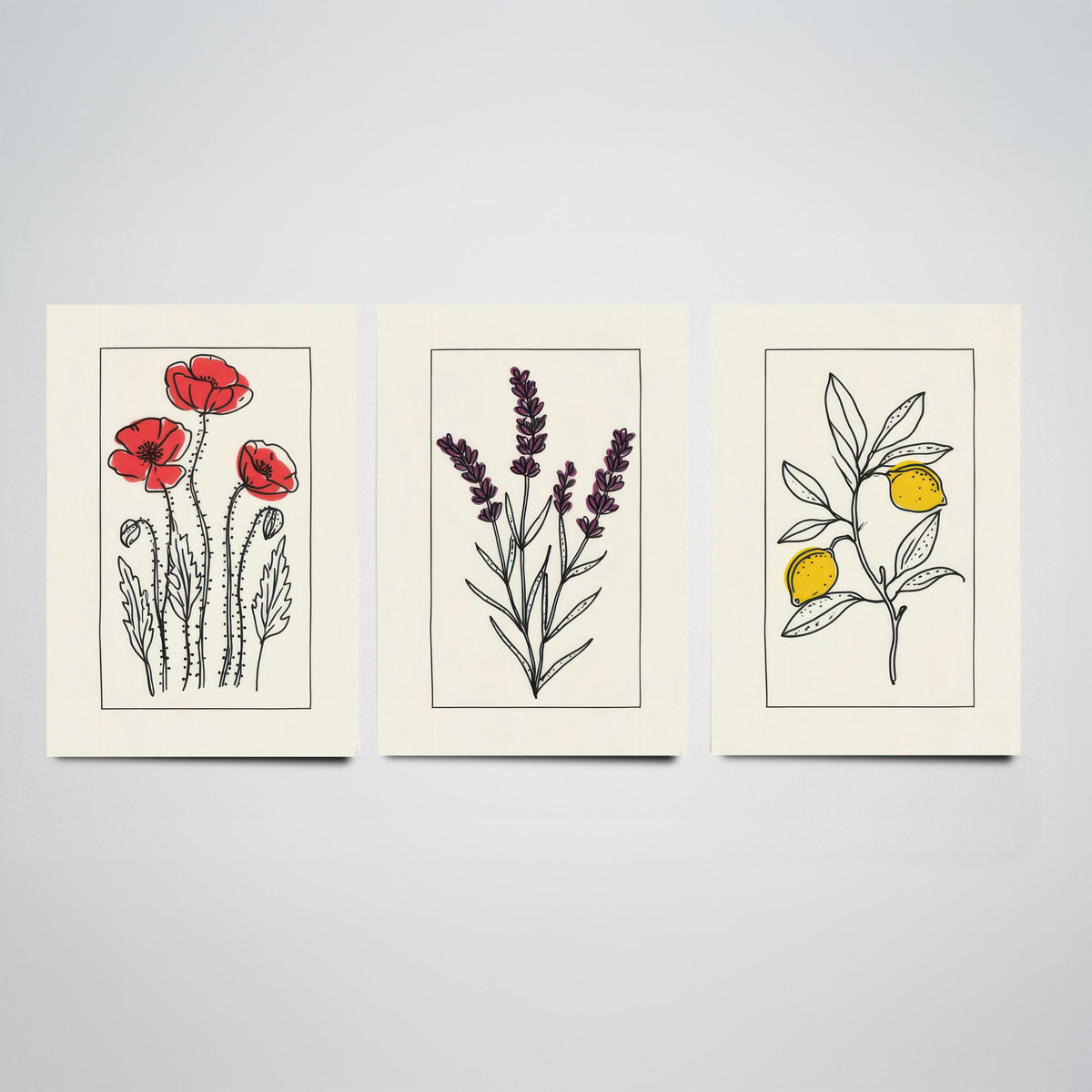 Minimalist Botanical Set of Three Art Prints - Red Poppies, Lavender, Lemons - Bordered Line Drawing Poster V3