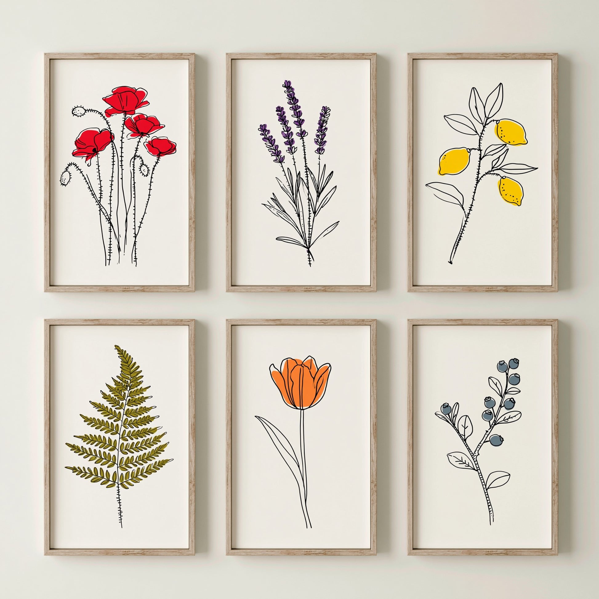 Set of Six Botanical Line Drawing Art Prints - 6 Minimalist Botanicals - Poppy, Lavender, Lemon, Fern, Tulip, Blueberry - Poster V1