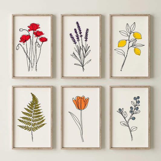 Set of Six Botanical Line Drawing Art Prints - 6 Minimalist Botanicals - Poppy, Lavender, Lemon, Fern, Tulip, Blueberry - Poster V1