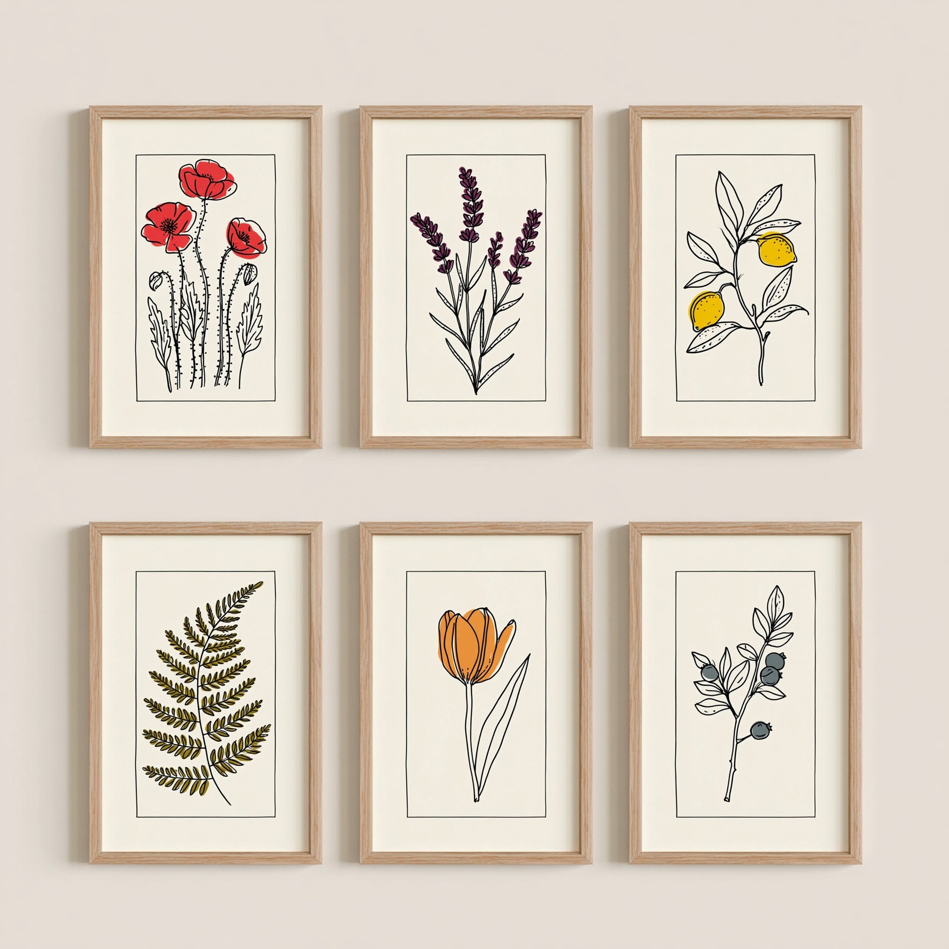 Set of Six Minimalist Botanical Art Prints - 6 Bordered Line Drawings - Poppy, Lavender, Lemon, Fern, Tulip, Blueberry - Poster V2