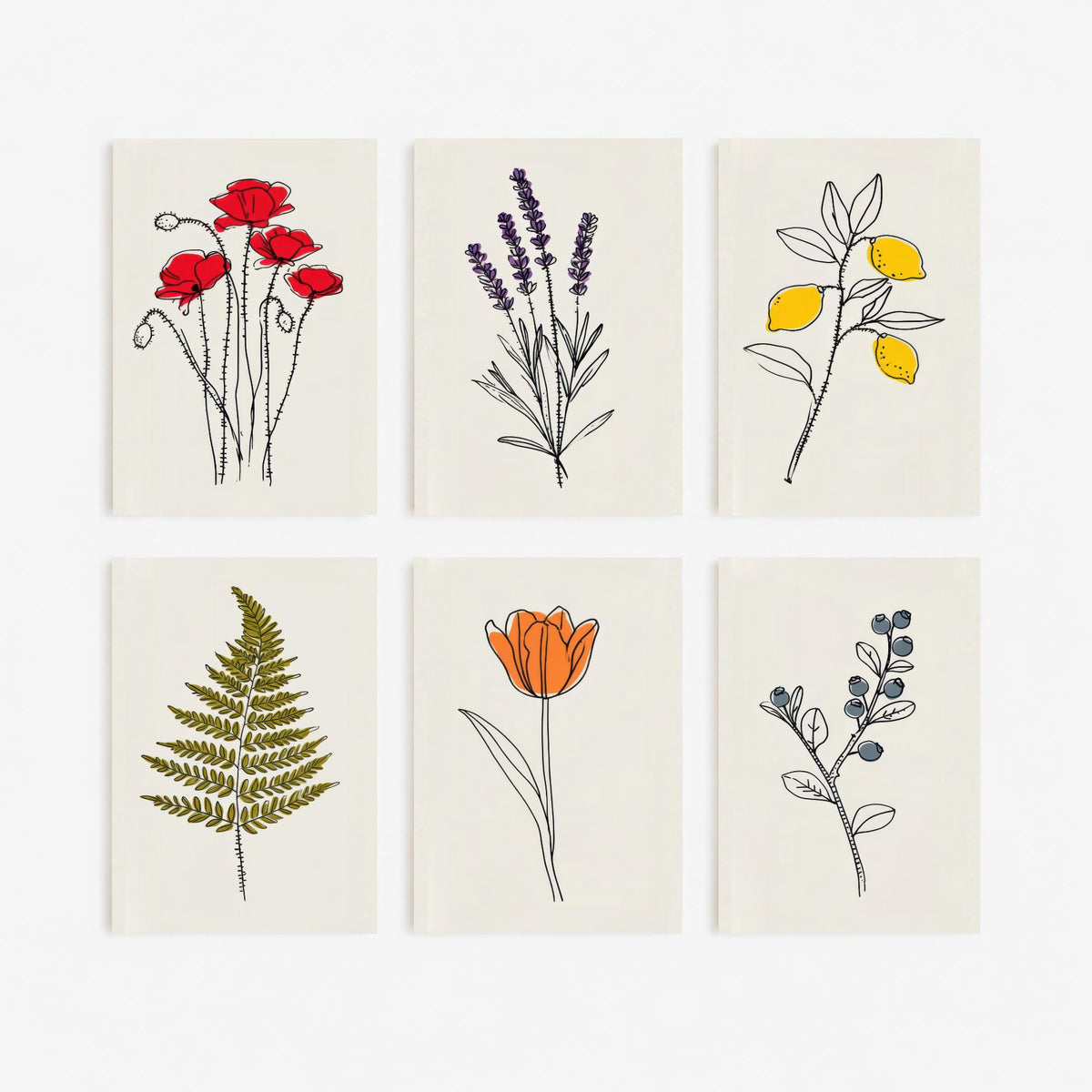 Set of Six Minimalist Line Botanical Art Prints - 6 Pop of Colour Flower Posters - Poppy, Lavender, Lemon, Fern, Tulip, Blueberry Drawing V1