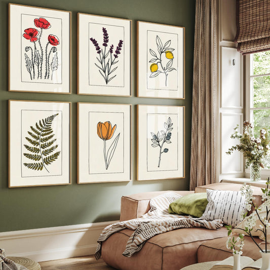 Set of Six Line Drawing Botanical Art Prints - 6 Bordered Plant Posters - Red Poppy, Lavender, Lemon Tree, Fern, Tulip, Blueberry Art V2