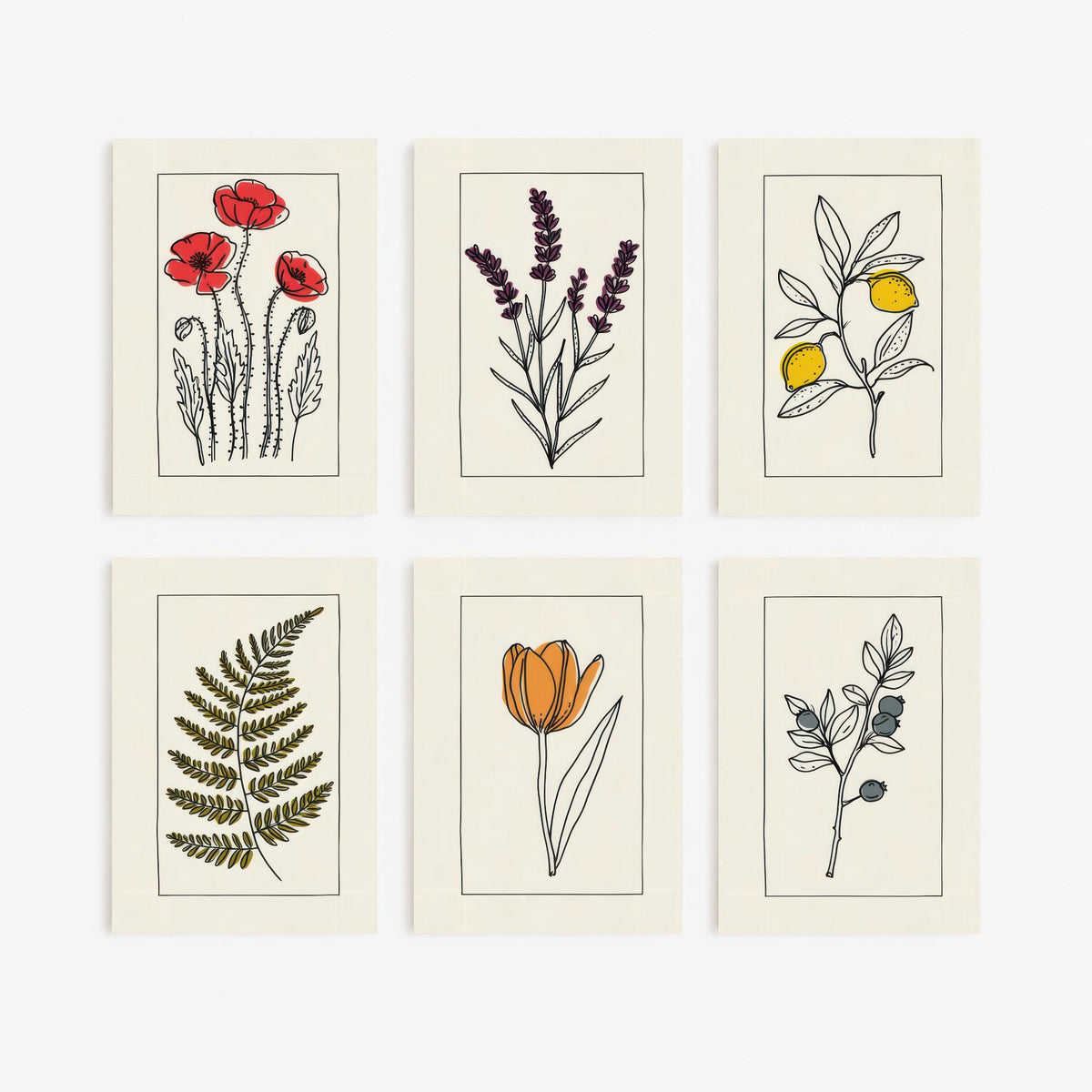 Set of Six Line Drawing Botanical Art Prints - 6 Bordered Plant Posters - Red Poppy, Lavender, Lemon Tree, Fern, Tulip, Blueberry Art V2
