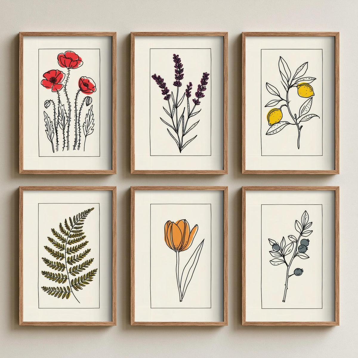 Set of Six Line Drawing Botanical Art Prints - 6 Bordered Plant Posters - Red Poppy, Lavender, Lemon Tree, Fern, Tulip, Blueberry Art V2