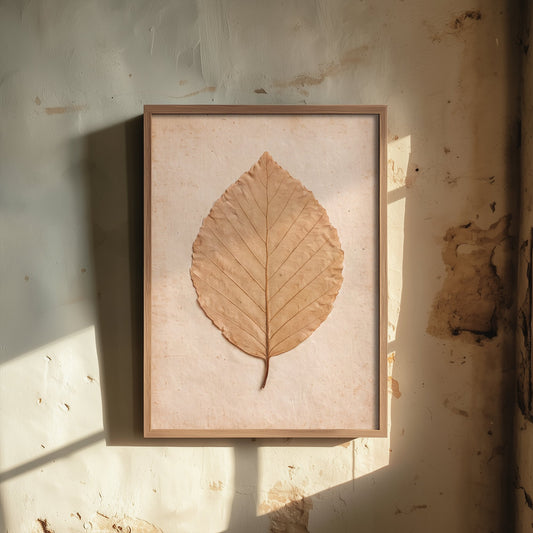Pressed Beech Leaf Art Print - Vintage Herbarium Specimen Photo - Neutral Autumn Leaf Poster 1/3