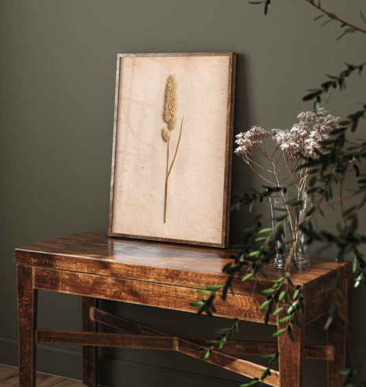 Meadow Foxtail Grass Art Print - Pressed Grass Vintage Herbarium Photo - Dried Seed Head Poster 2/3