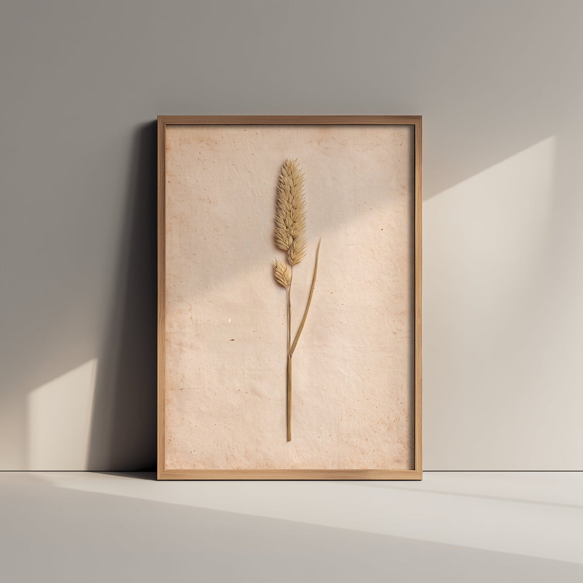 Meadow Foxtail Grass Art Print - Pressed Grass Vintage Herbarium Photo - Dried Seed Head Poster 2/3