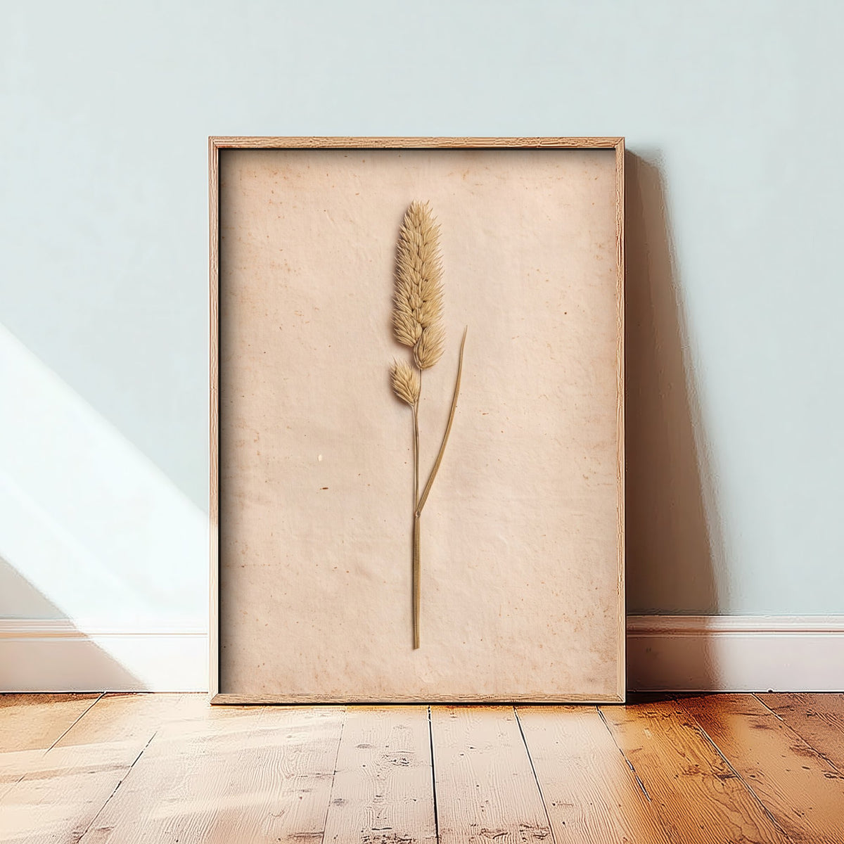 Meadow Foxtail Grass Art Print - Pressed Grass Vintage Herbarium Photo - Dried Seed Head Poster 2/3