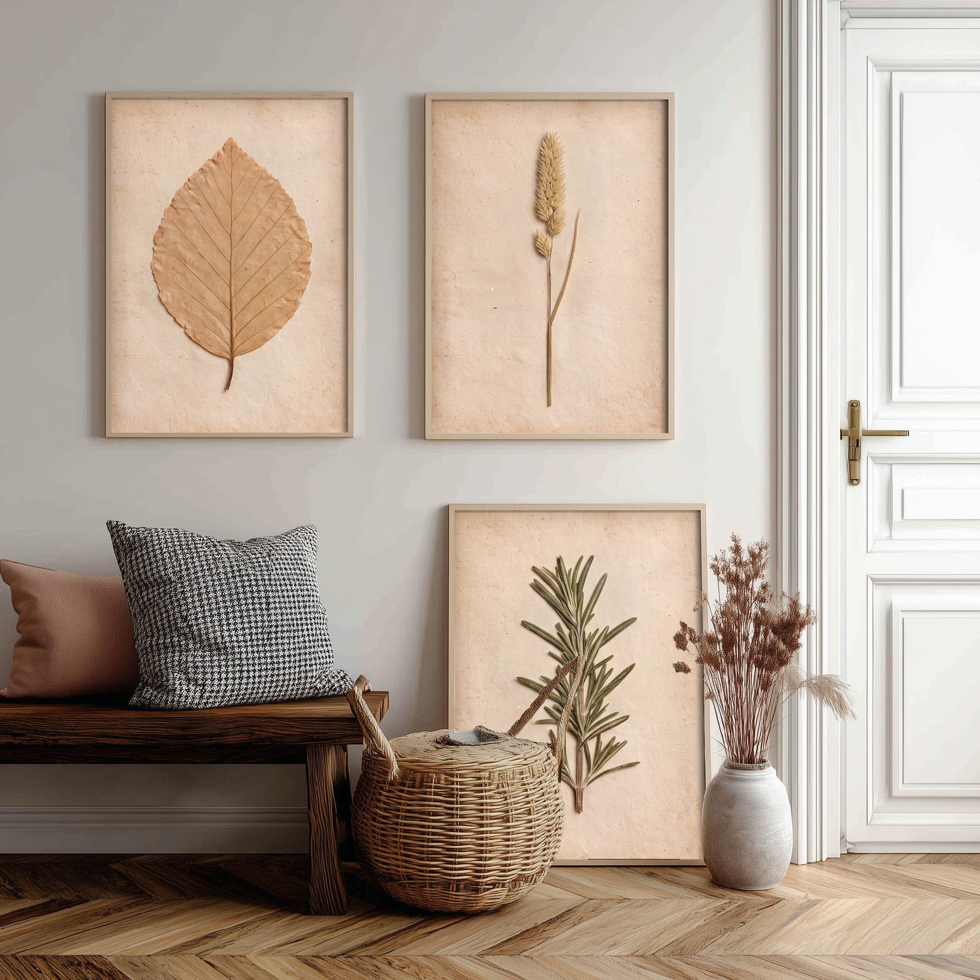 Pressed Botanicals Set of Three Art Prints - Beech Leaf Meadow Foxtail Grass and Rosemary - Vintage Herbarium Photo Posters