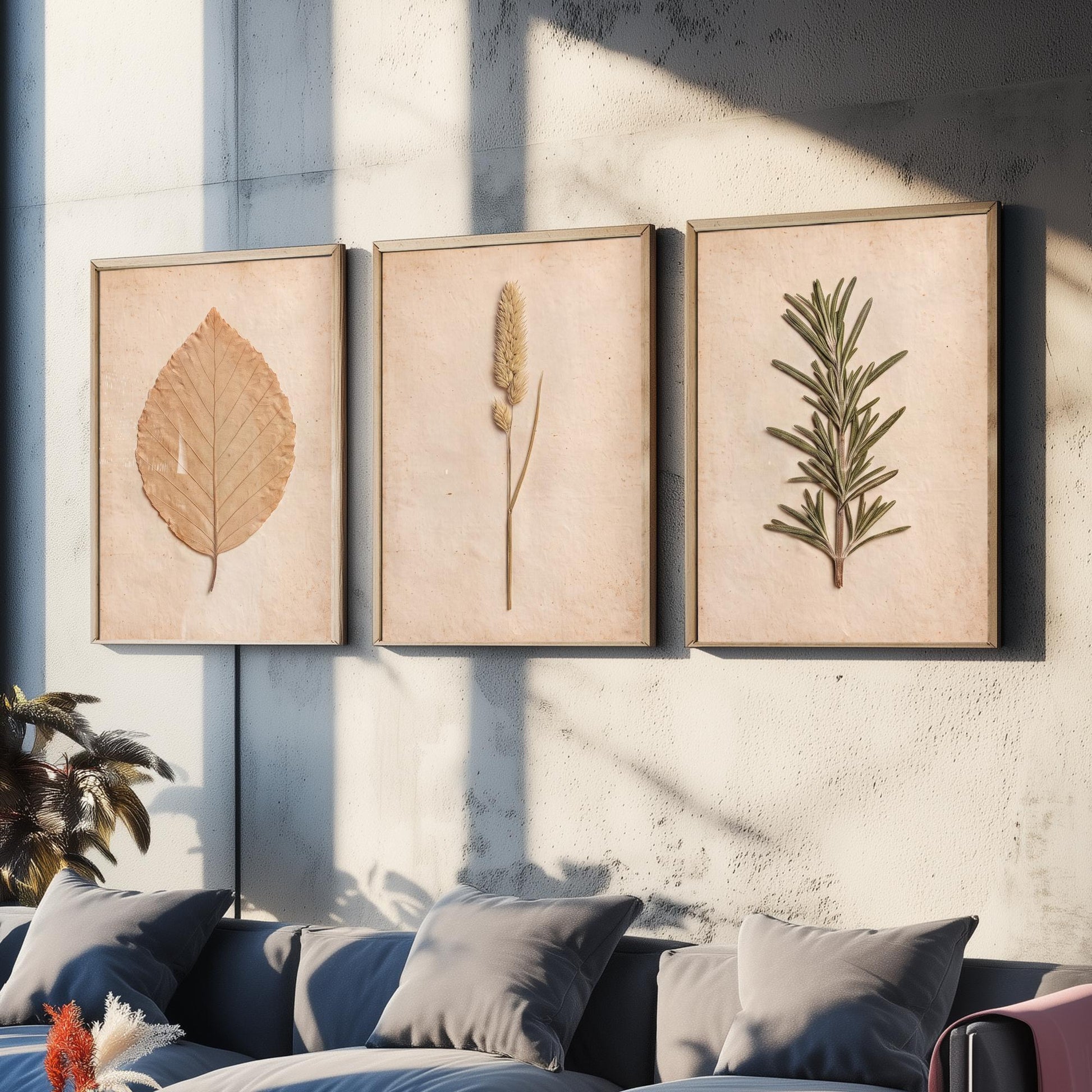 Pressed Botanicals Set of Three Art Prints - Beech Leaf Meadow Foxtail Grass and Rosemary - Vintage Herbarium Photo Posters
