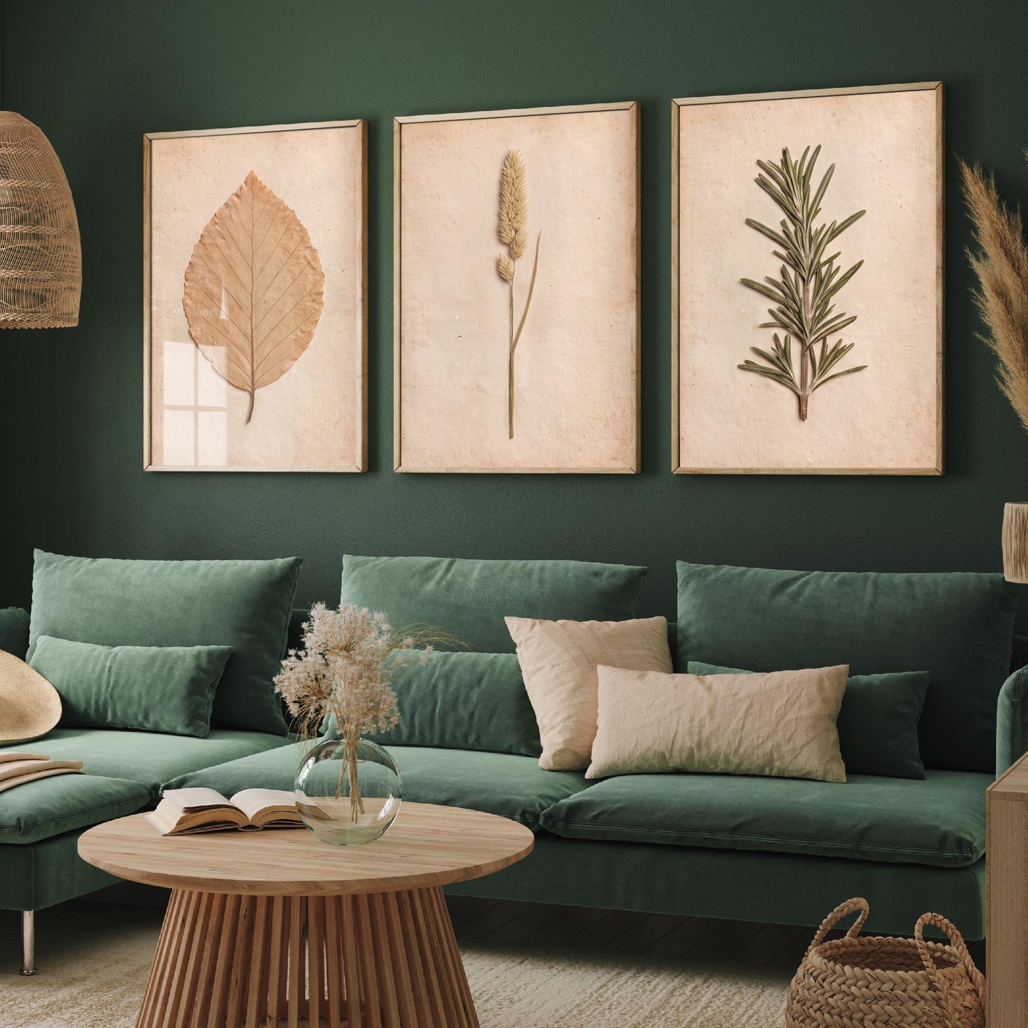 Pressed Botanicals Set of Three Art Prints - Beech Leaf Meadow Foxtail Grass and Rosemary - Vintage Herbarium Photo Posters