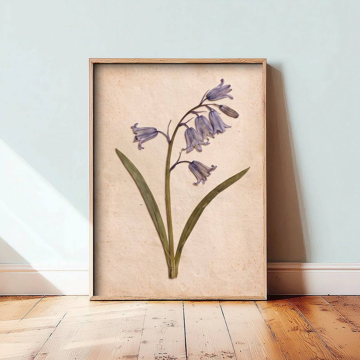 Pressed Bluebell Art Print - Vintage Wildflower Herbarium Photo - Blue Woodland Flower Poster 1/3