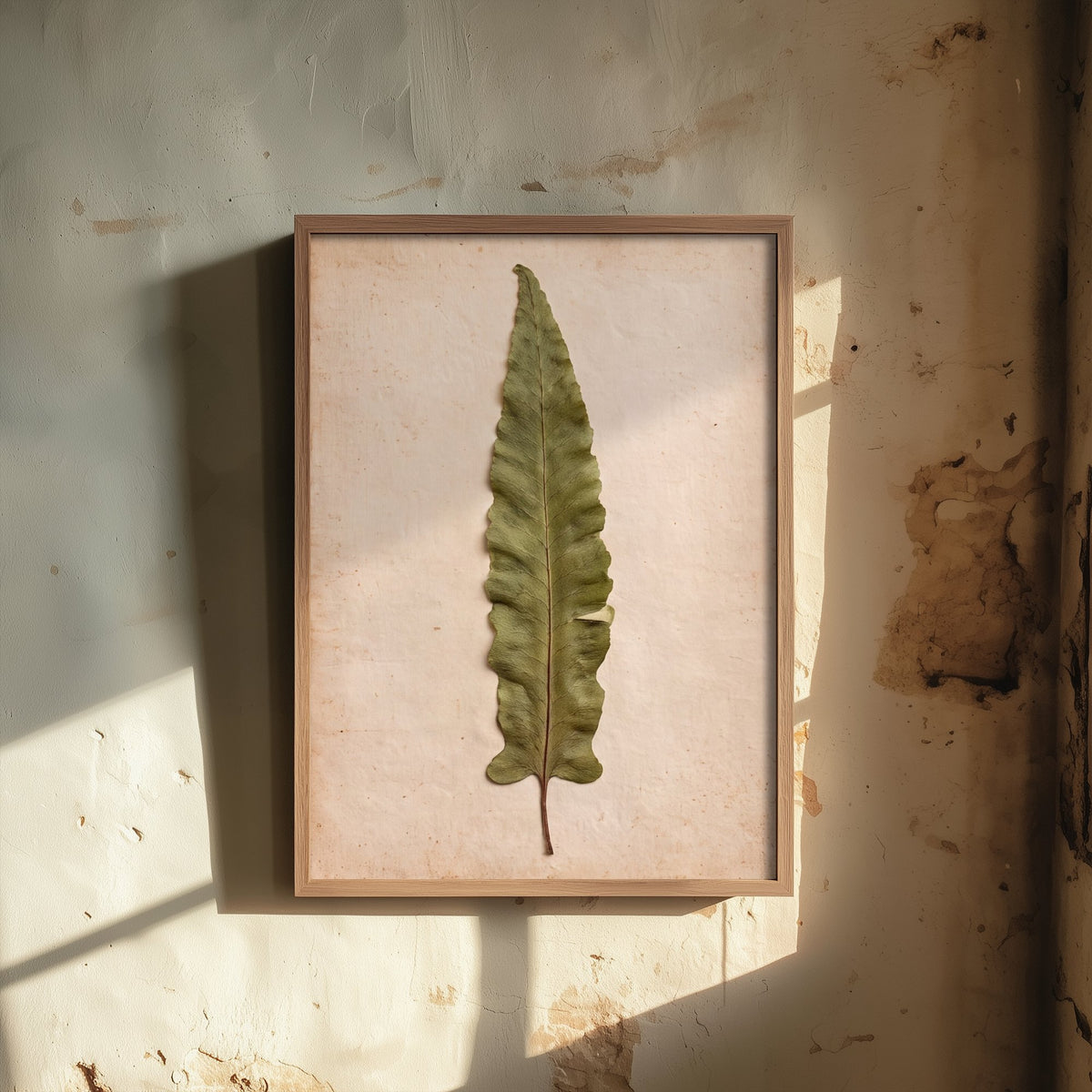 Hart's Tongue Fern Art Print - Pressed Fern Vintage Herbarium Photo - Green Woodland Frond Poster 2/3