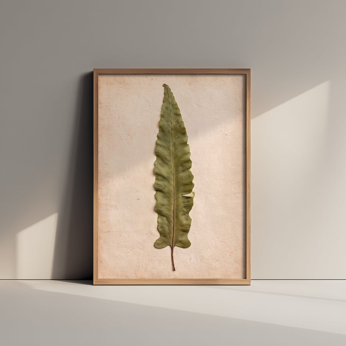 Hart's Tongue Fern Art Print - Pressed Fern Vintage Herbarium Photo - Green Woodland Frond Poster 2/3