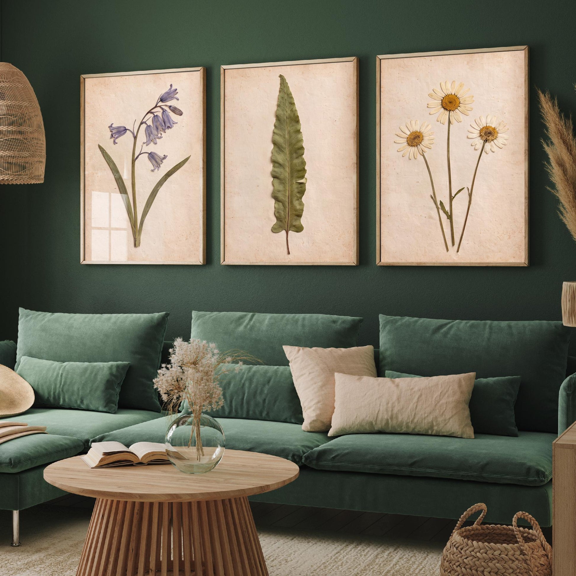 Set of Three Pressed Flower Art Prints - Bluebell Hart's Tongue Fern and Daisy - Vintage Woodland Herbarium Posters - Botanical Photo