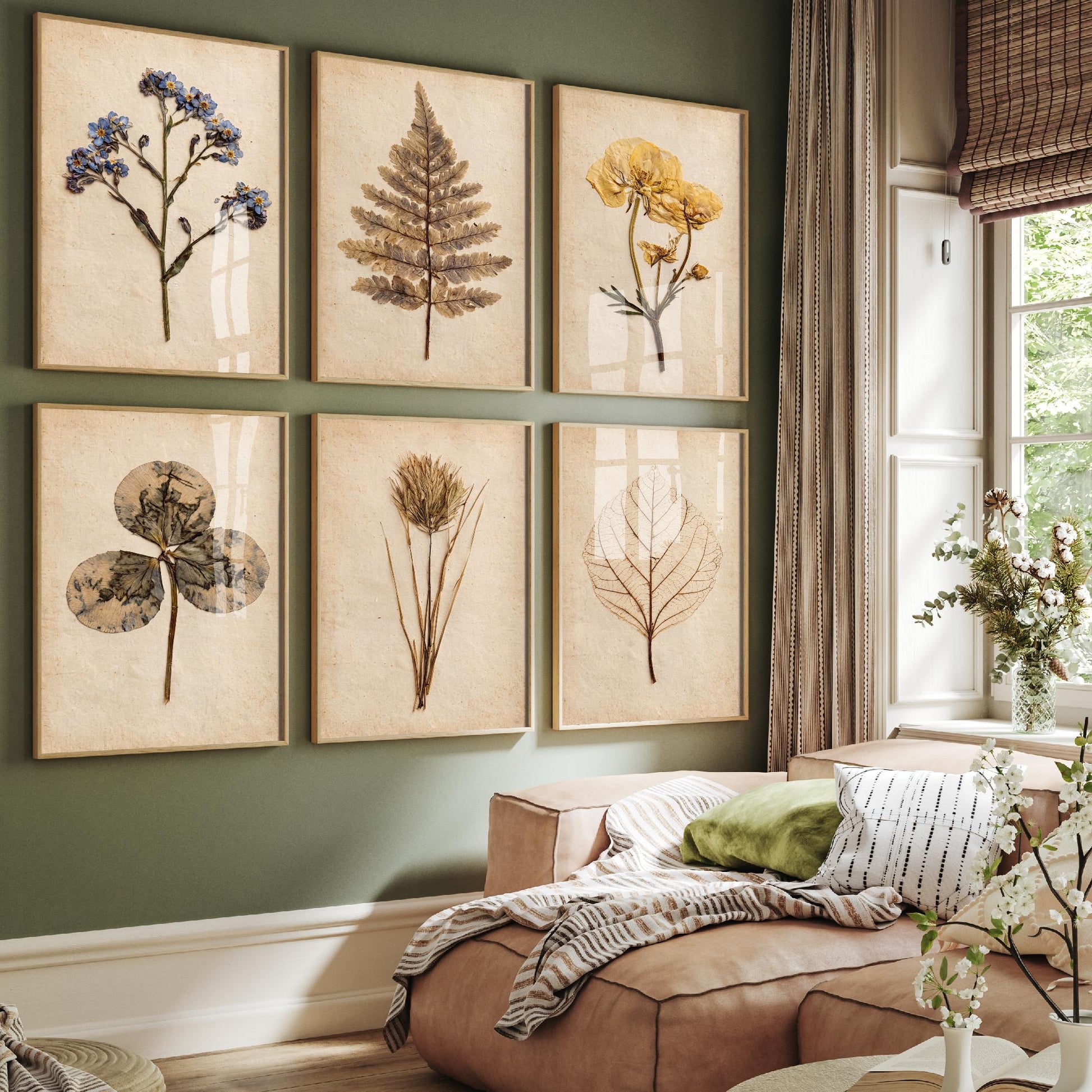 Set of Six Pressed Botanical Art Prints - 6 Vintage Herbarium Illustrations - Poster - Forget-Me-Not, Fern, Buttercup, Clover, Skeleton Leaf