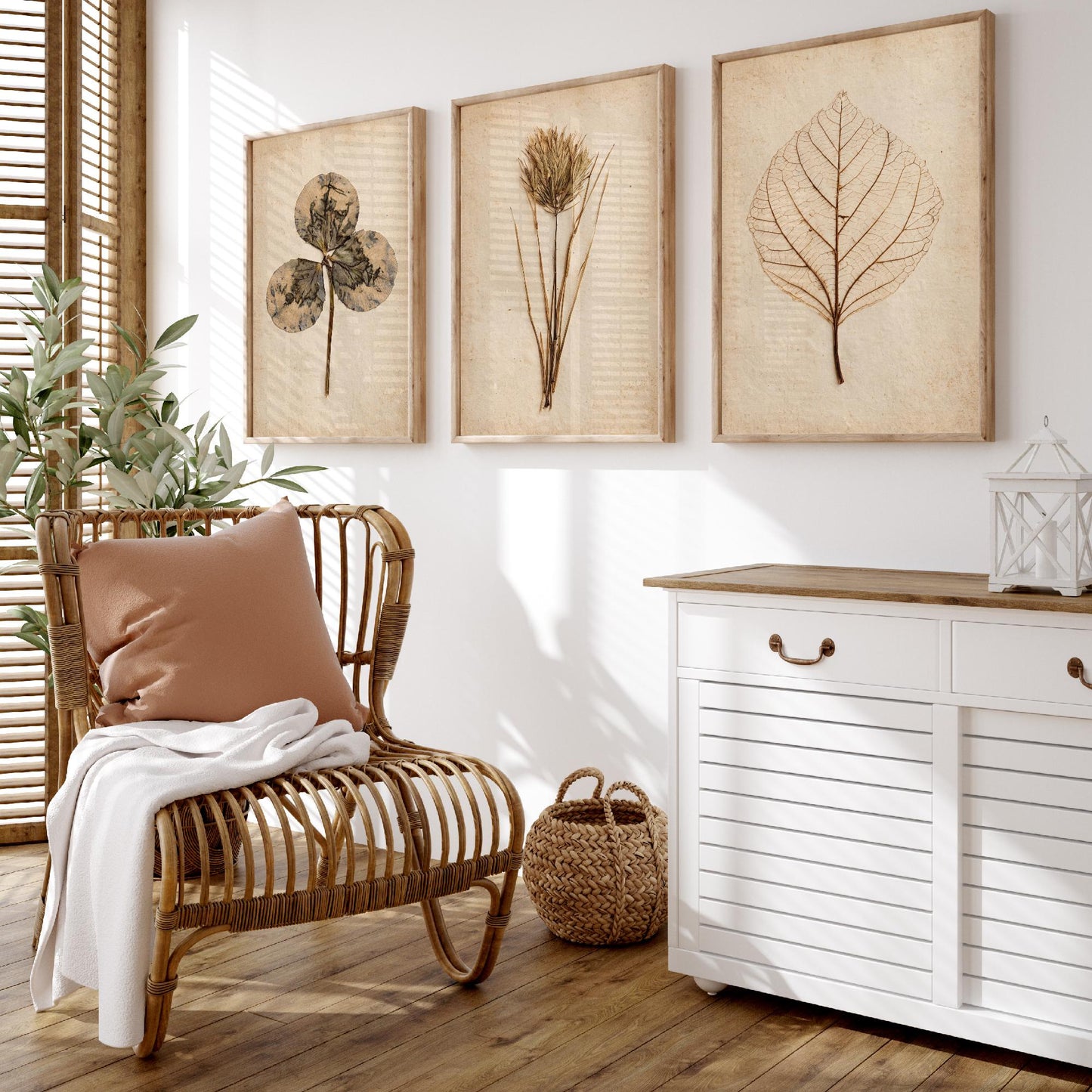 Pressed Botanicals Set of Three Art Prints - Clover Leaf, Wild Grass, Skeleton Leaf - Vintage Herbarium Photo Posters V2