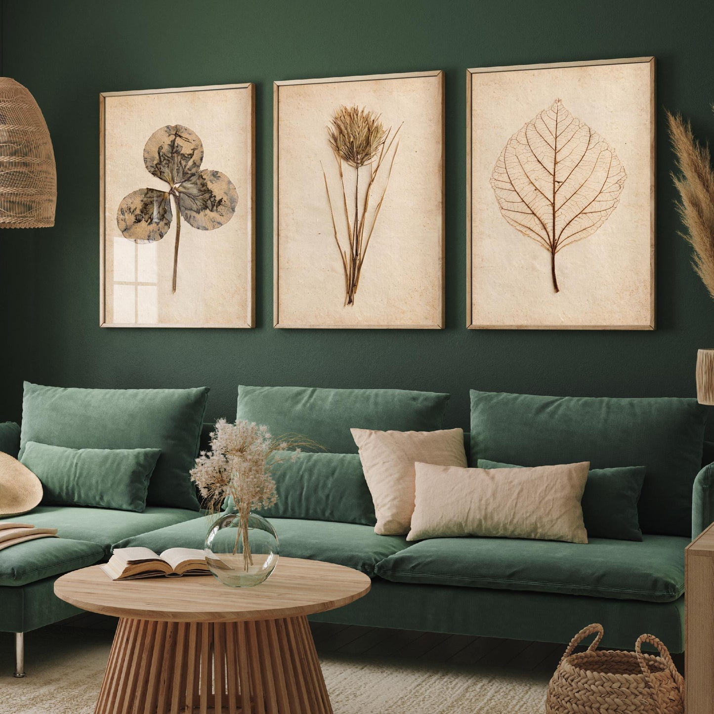 Pressed Botanicals Set of Three Art Prints - Clover Leaf, Wild Grass, Skeleton Leaf - Vintage Herbarium Photo Posters V2