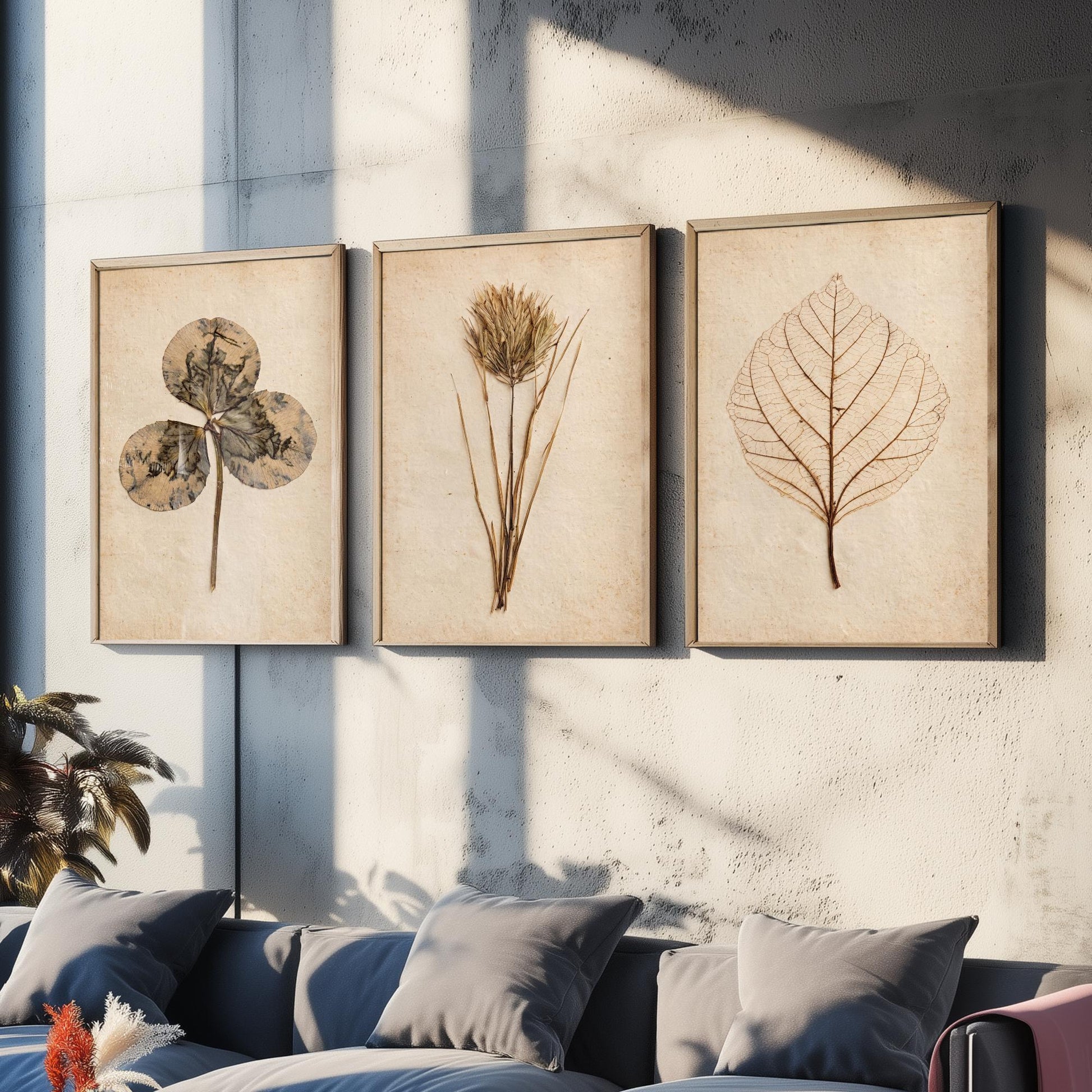 Pressed Botanicals Set of Three Art Prints - Clover Leaf, Wild Grass, Skeleton Leaf - Vintage Herbarium Photo Posters V2