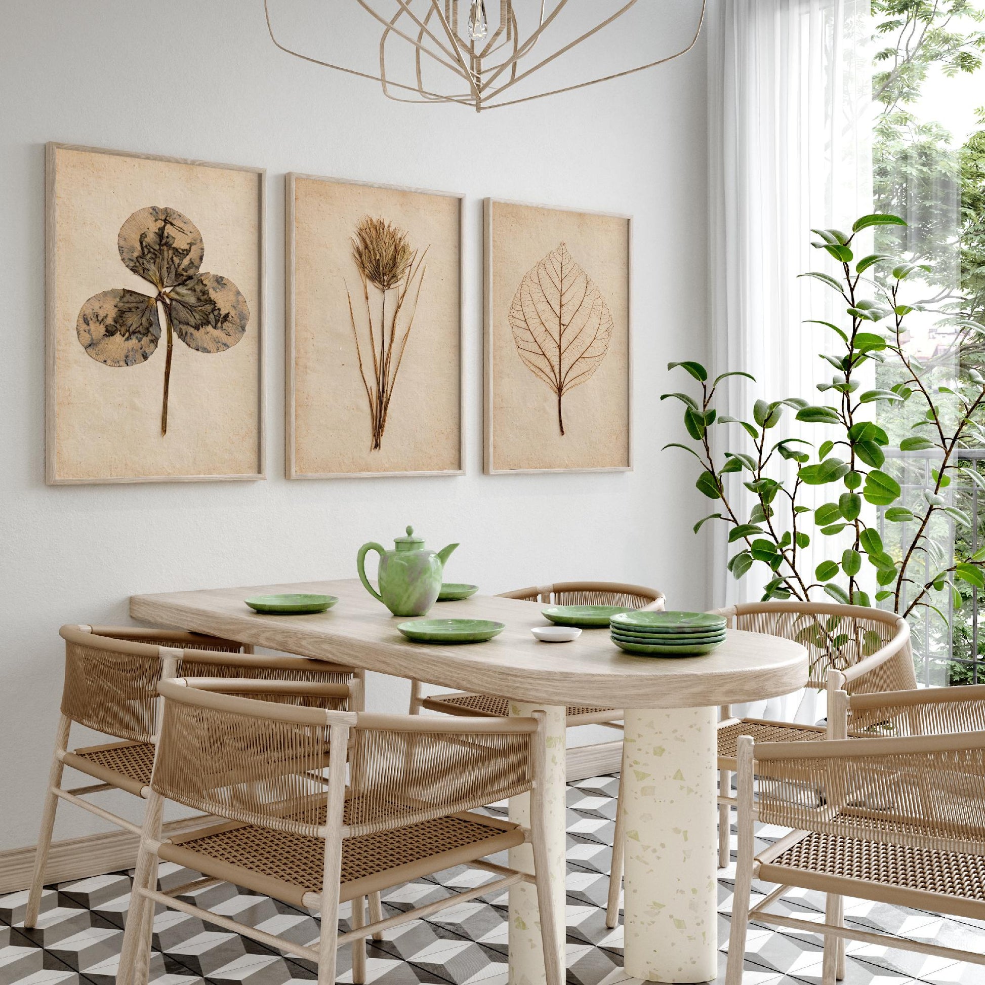 Pressed Botanicals Set of Three Art Prints - Clover Leaf, Wild Grass, Skeleton Leaf - Vintage Herbarium Photo Posters V2