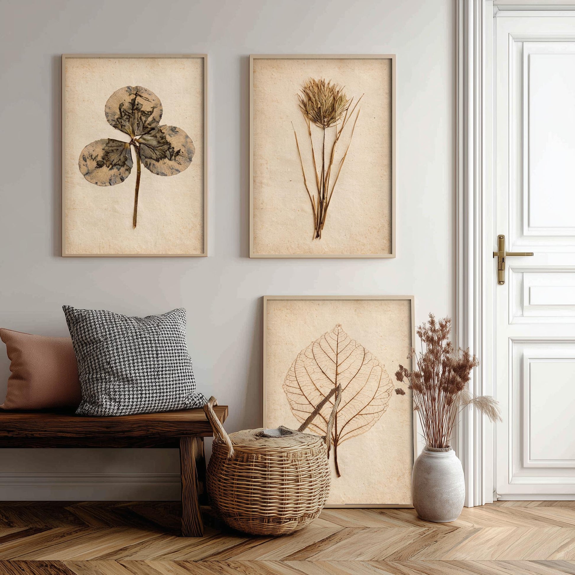 Pressed Botanicals Set of Three Art Prints - Clover Leaf, Wild Grass, Skeleton Leaf - Vintage Herbarium Photo Posters V2