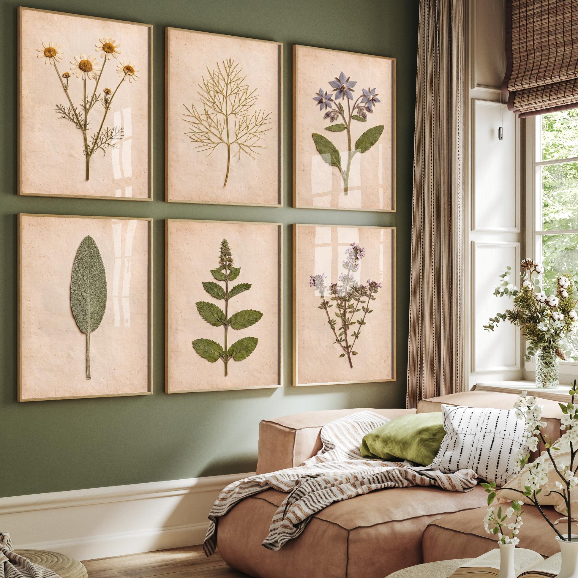 Set of Six Pressed Herb Art Prints - 6 Kitchen Herbarium Photo Posters - Chamomile, Borage, Sage, Mint, Thyme, Dill - Culinary Botanicals