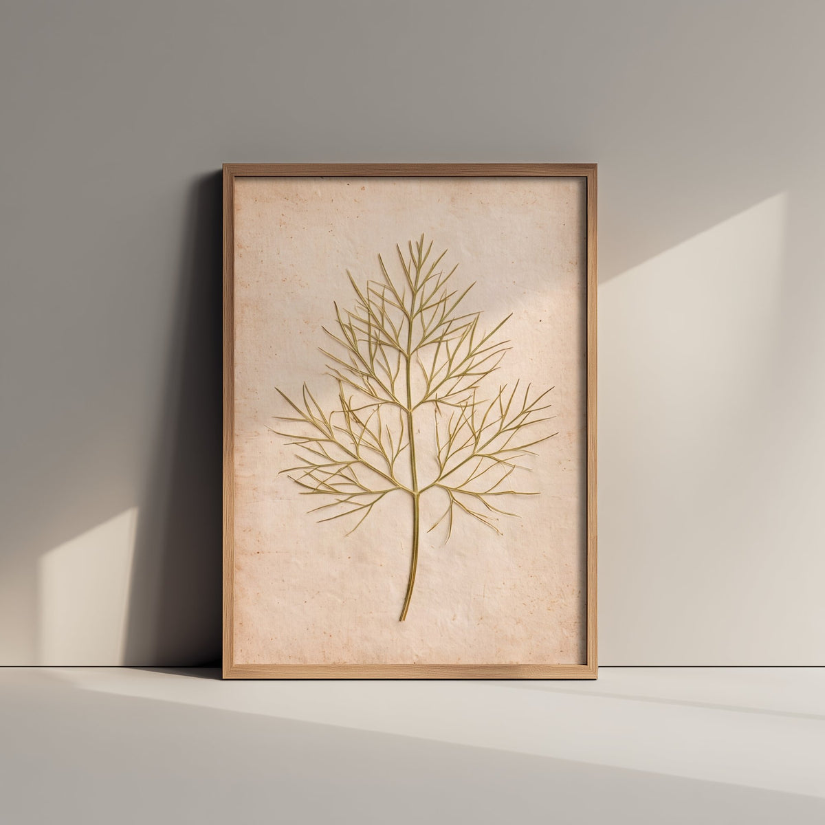 Pressed Dill Art Print - Vintage Kitchen Herb Herbarium Photo - Feathery Dill Weed Poster 2/3