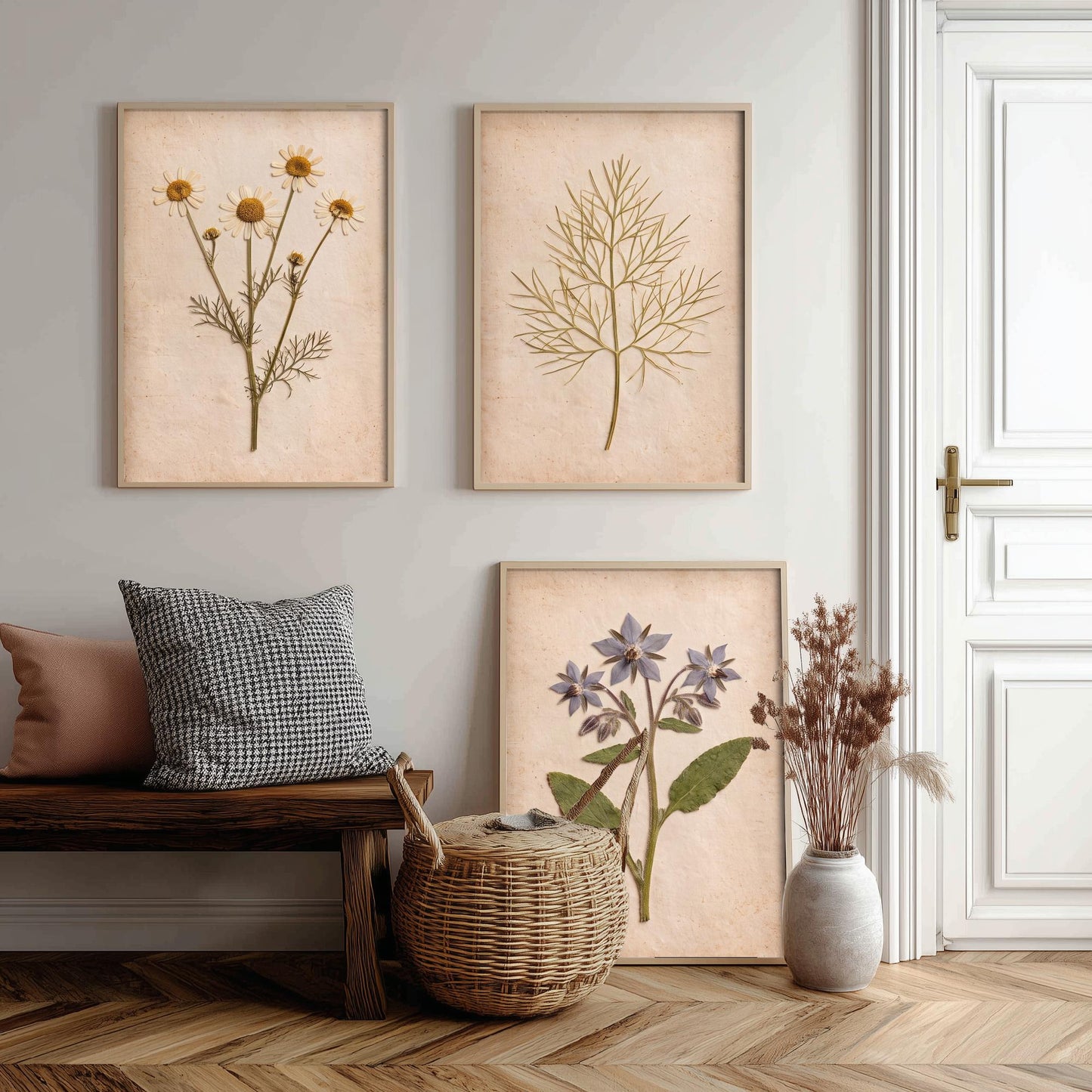 Pressed Herbs Set of Three Art Prints - Chamomile Dill and Borage - Vintage Kitchen Herbarium Posters - Cottage Botanical Photo