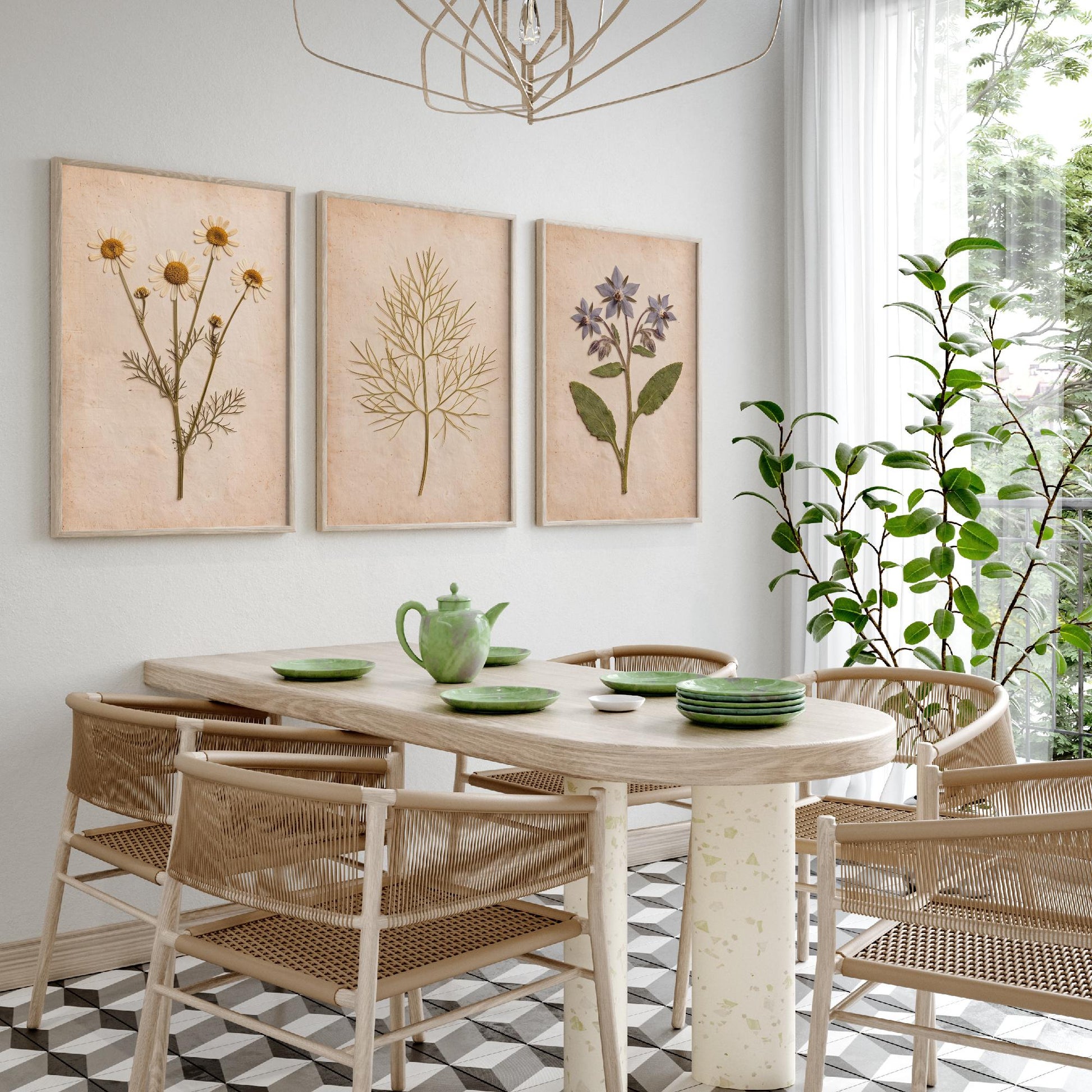 Pressed Herbs Set of Three Art Prints - Chamomile Dill and Borage - Vintage Kitchen Herbarium Posters - Cottage Botanical Photo