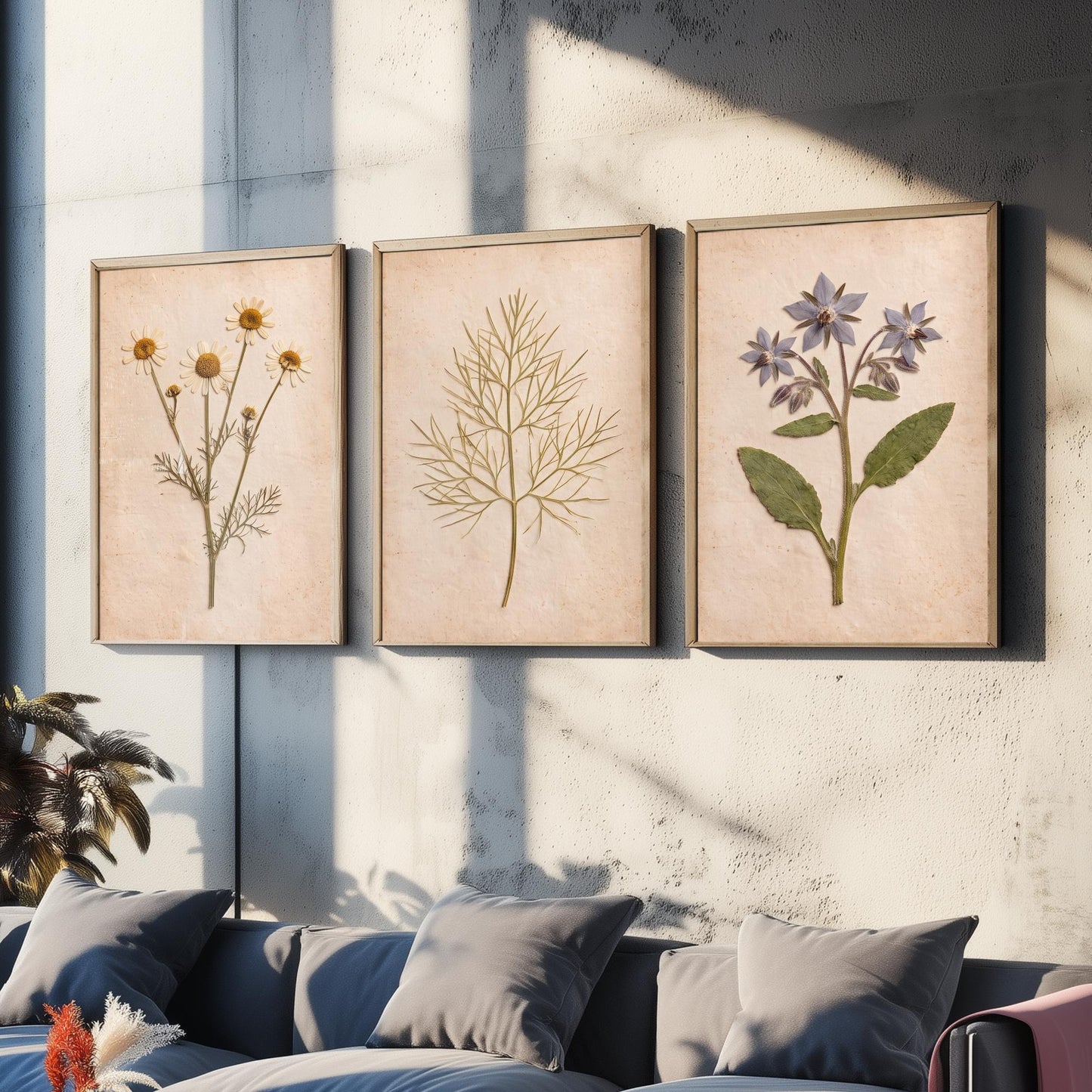 Pressed Herbs Set of Three Art Prints - Chamomile Dill and Borage - Vintage Kitchen Herbarium Posters - Cottage Botanical Photo