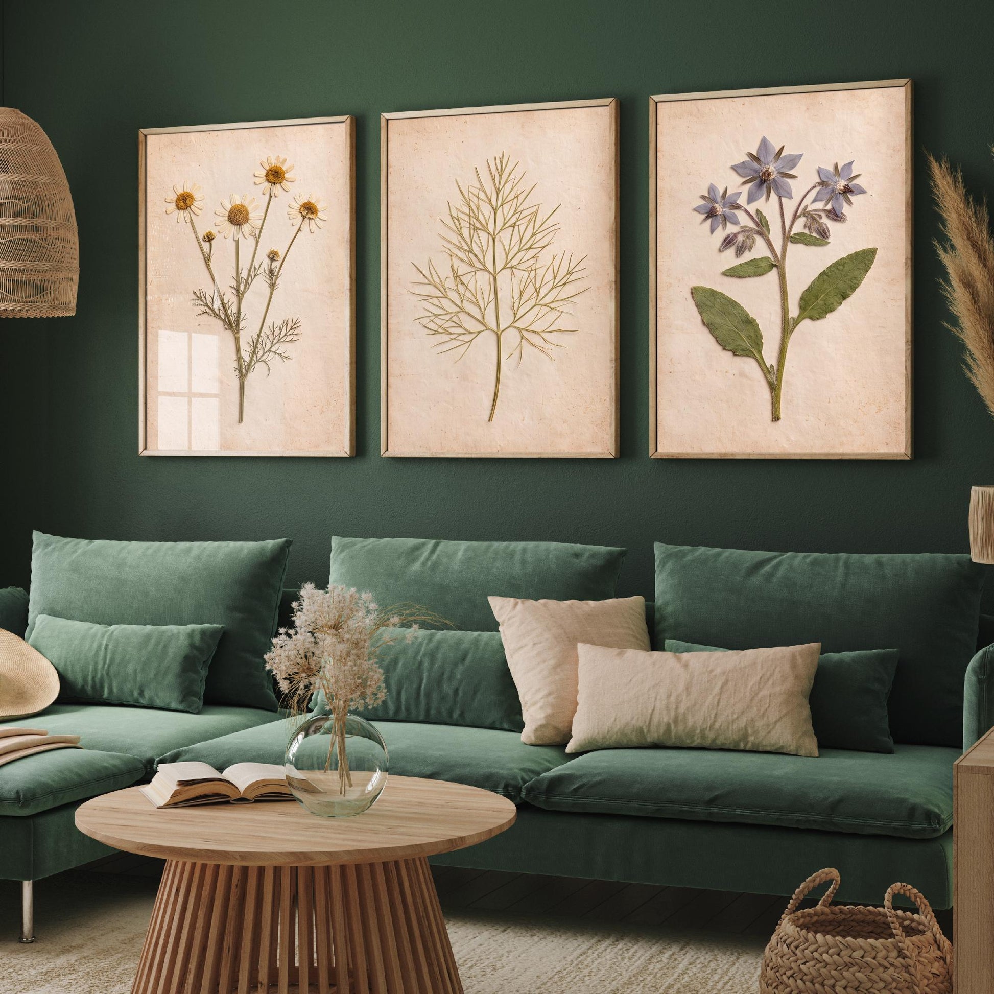 Pressed Herbs Set of Three Art Prints - Chamomile Dill and Borage - Vintage Kitchen Herbarium Posters - Cottage Botanical Photo