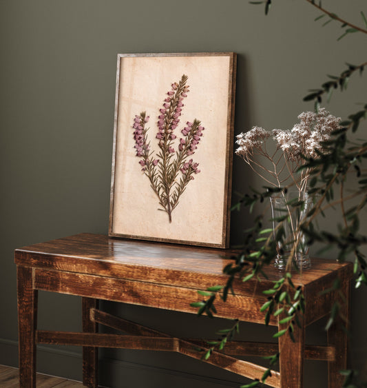 Cornish Heath Art Print - Pressed Heather Flower Poster - Vintage Cornwall Clifftop Herbarium Photo 1/3