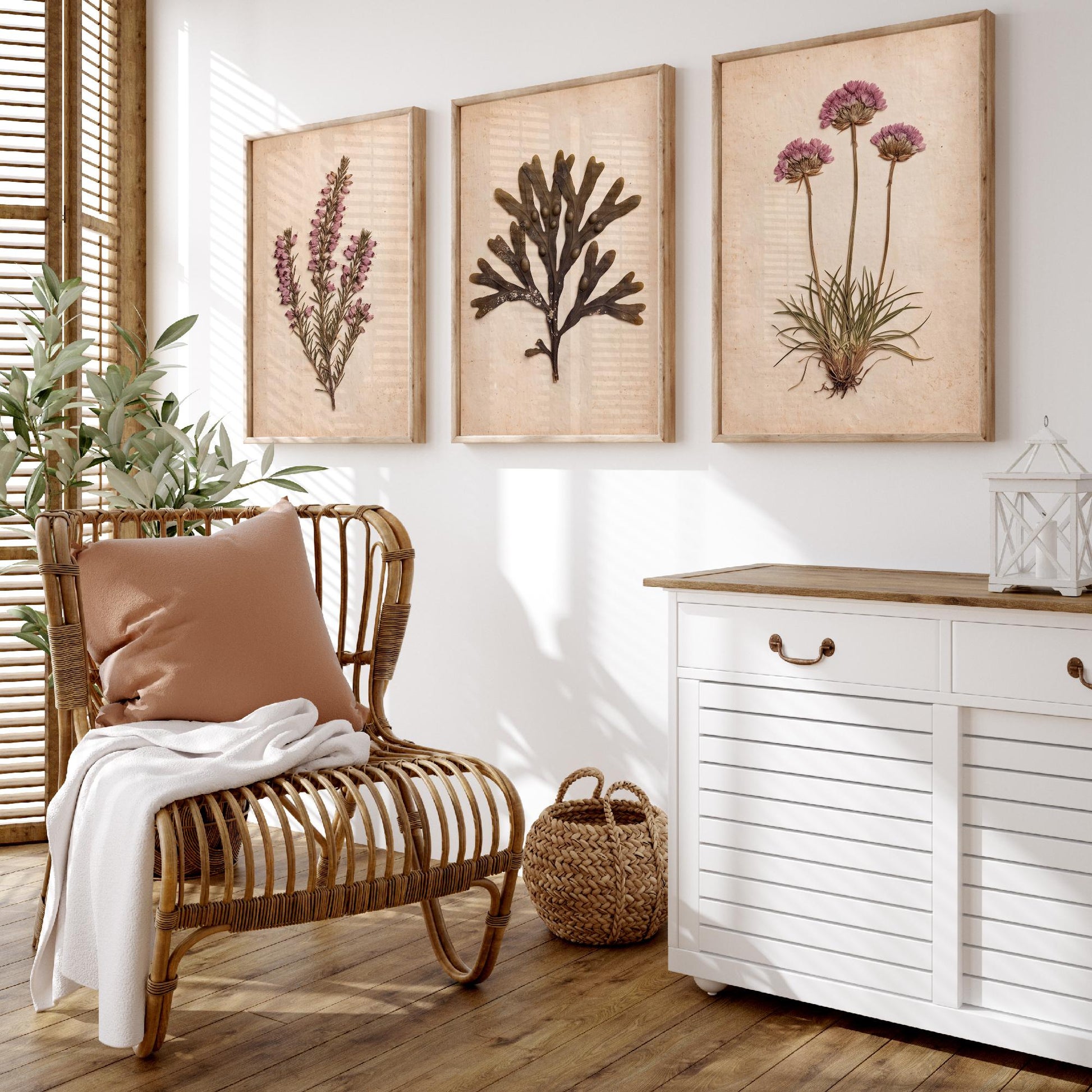 Cornwall Coast Set of Three Art Prints - Cornish Heath Bladderwrack Seaweed and Sea Pink Thrift - Pressed Seaside Herbarium Photo Posters